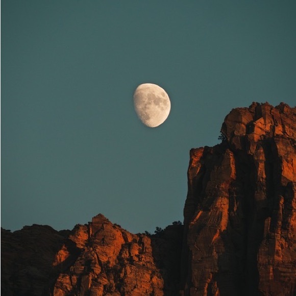 Meet your Posher, Paula - Picture 1 of 1